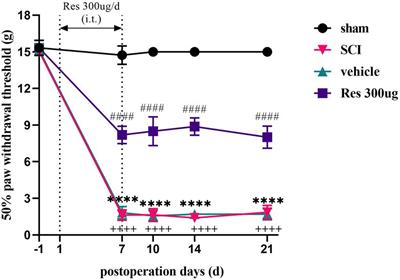 Resveratrol suppresses neuroinflammation to alleviate mechanical allodynia by inhibiting Janus kinase 2/signal transducer and activator of transcription 3 signaling pathway in a rat model of spinal cord injury